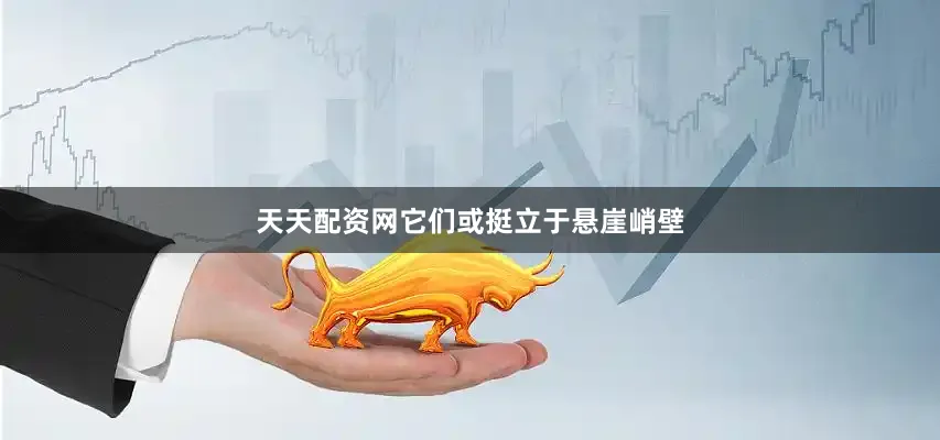 天天配资网它们或挺立于悬崖峭壁