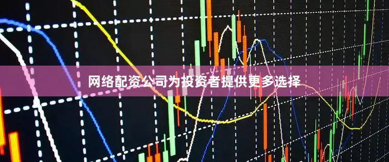 网络配资公司为投资者提供更多选择